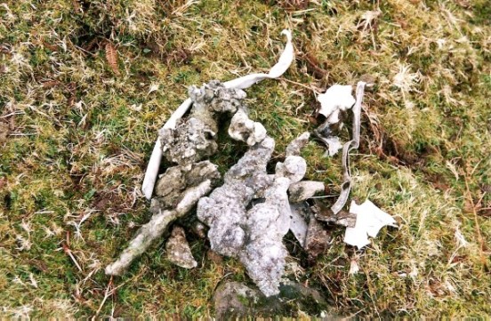 Wreckage at the crash site of Lockheed P-38 42-67859, Ochlon, Black Mountains