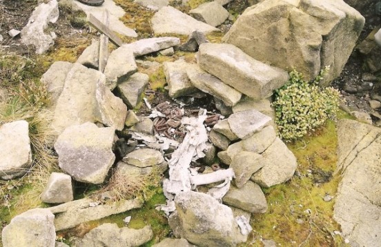 Wreckage at the crash site of de Havilland Canada L-20A Beaver 52-6145