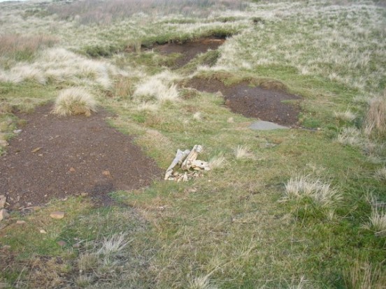 Wreckage at the crash site of Supermarine Spitfire NM814 on Coldbergh Edge, Keld, Yorkshire