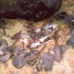 Wreckage at the crash site of de Havilland Mosquito PF395 at Dean Rocks near Dovestones Reservoir, Greenfield
