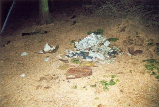 Crash site of Gloster Meteor RA487 on Hagg Side in the Derwent Valley, Derbyshire
