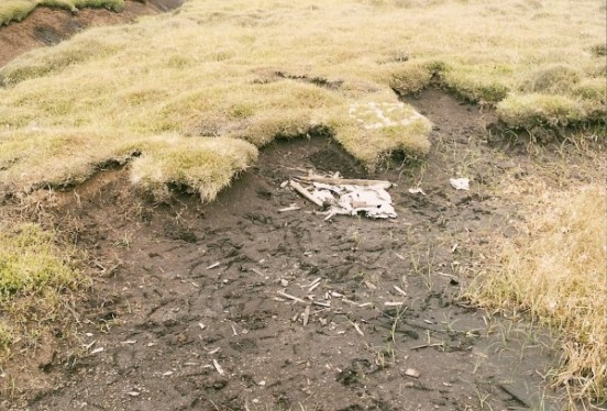 Wreckage at the crash site of de Havilland Tiger Moth T6464 on Blindstones Moss, Chew Brook, Oldham