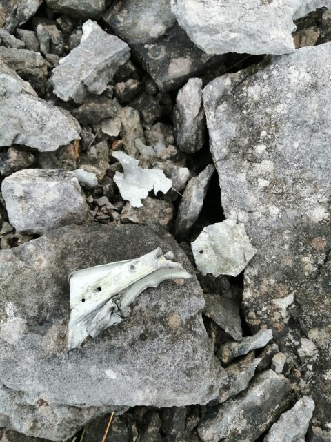Crash site of Gloster Meteor VT239 near Chapel-le-Dale