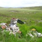 Armstrong Siddeley Cheetah engine at the crash site of Avro Anson W2630 on Cairnsmore of Fleet